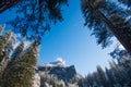 Fog and Snow on Trees and Cliffs of Yosemite National Park, California in Winter During Sunrise Royalty Free Stock Photo